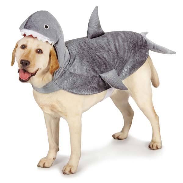 Casual Canine Shark Costumes XL