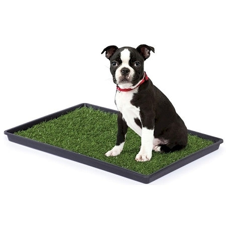 Tinkle Turf Medium