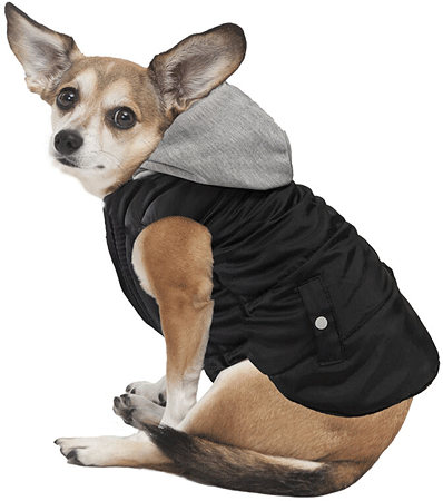 FASHION PET Sporty Puffer Reversible Black S